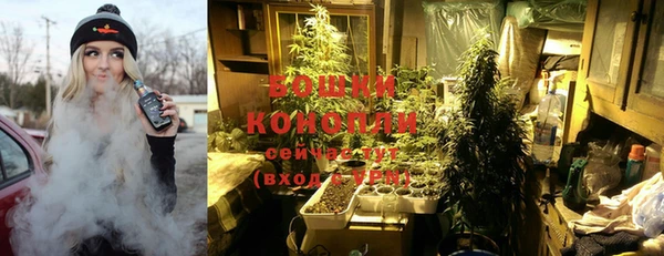 прущий лед Богородицк