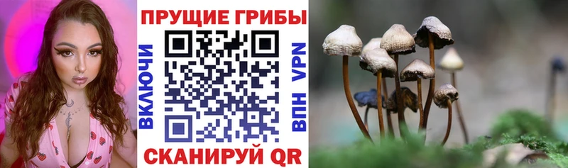 Галлюциногенные грибы ЛСД  МЕГА ССЫЛКА  Нариманов 